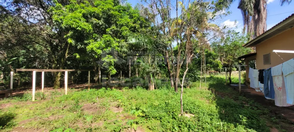 Comprar Rural / Chácara em São José do Rio Preto R$ 700.000,00 - Foto 22