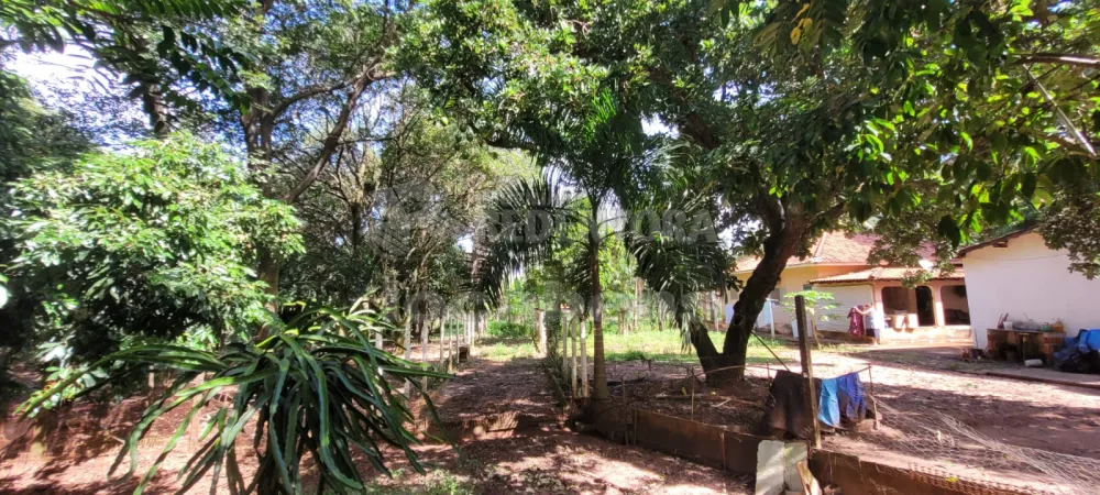 Comprar Rural / Chácara em São José do Rio Preto R$ 700.000,00 - Foto 24