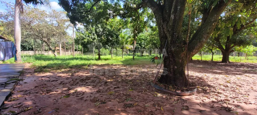 Comprar Rural / Chácara em São José do Rio Preto R$ 700.000,00 - Foto 46