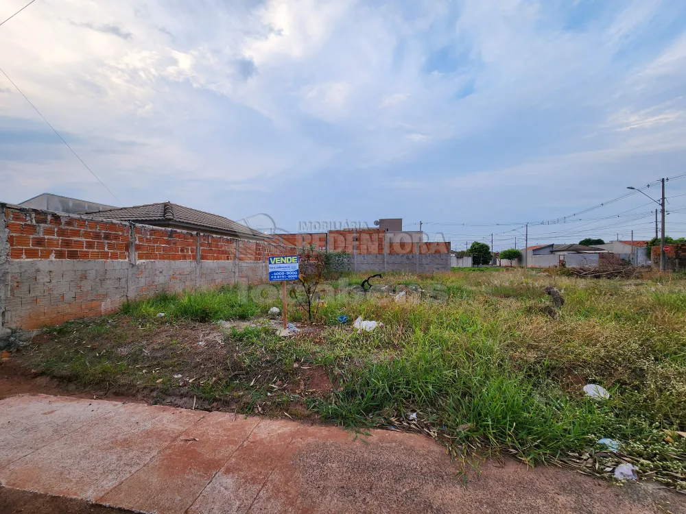 Comprar Terreno / Padrão em São José do Rio Preto apenas R$ 120.000,00 - Foto 1