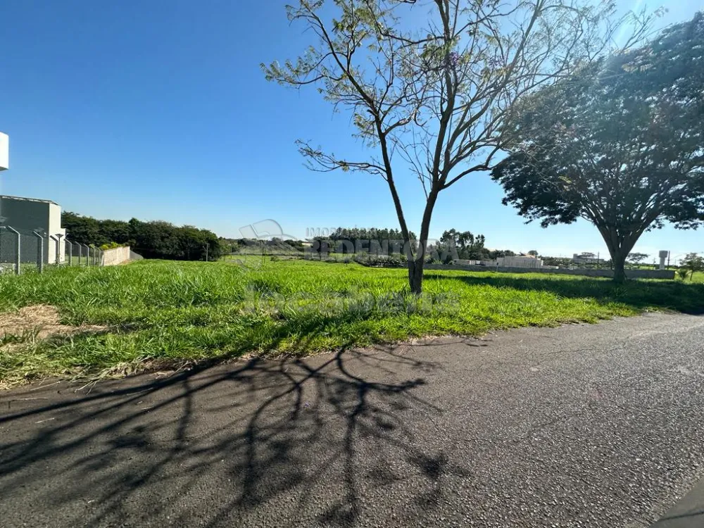 Comprar Terreno / Condomínio em São José do Rio Preto apenas R$ 1.000.000,00 - Foto 4