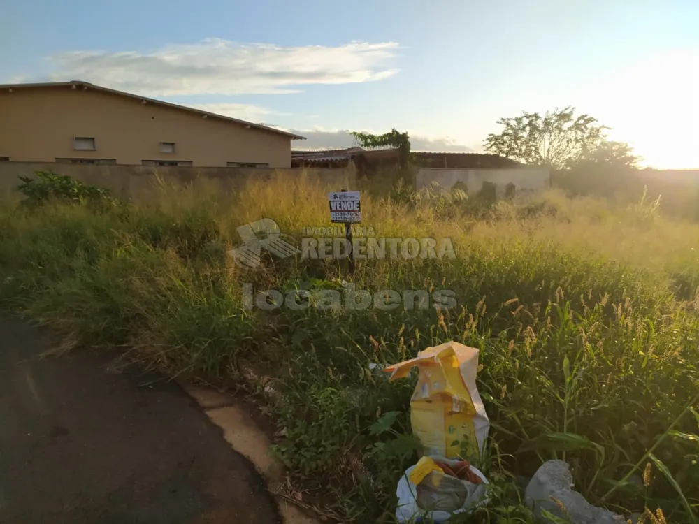 Comprar Terreno / Padrão em São José do Rio Preto R$ 160.000,00 - Foto 12