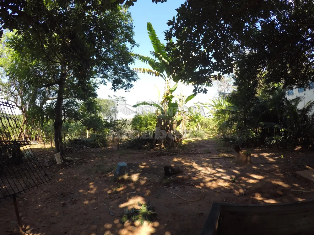 Comprar Terreno / Área em São José do Rio Preto R$ 10.000.000,00 - Foto 18