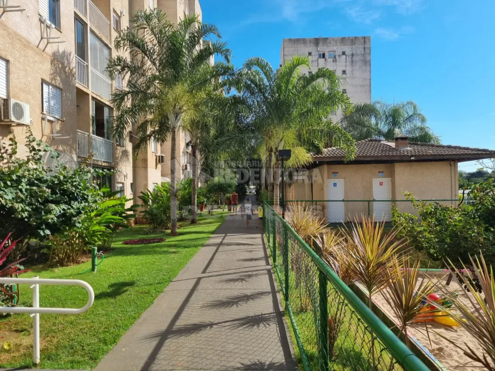 Comprar Apartamento / Padrão em São José do Rio Preto R$ 195.000,00 - Foto 2