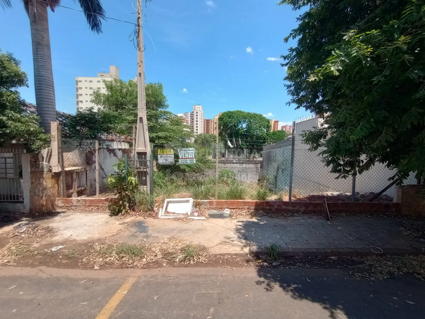 Alugar Terreno / Área em São José do Rio Preto R$ 2.000,00 - Foto 3