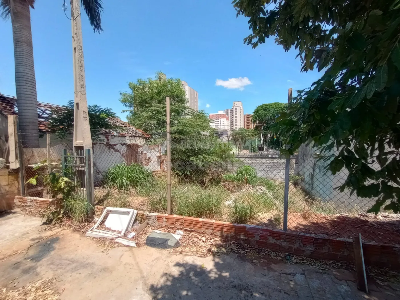 Alugar Terreno / Área em São José do Rio Preto R$ 2.000,00 - Foto 4