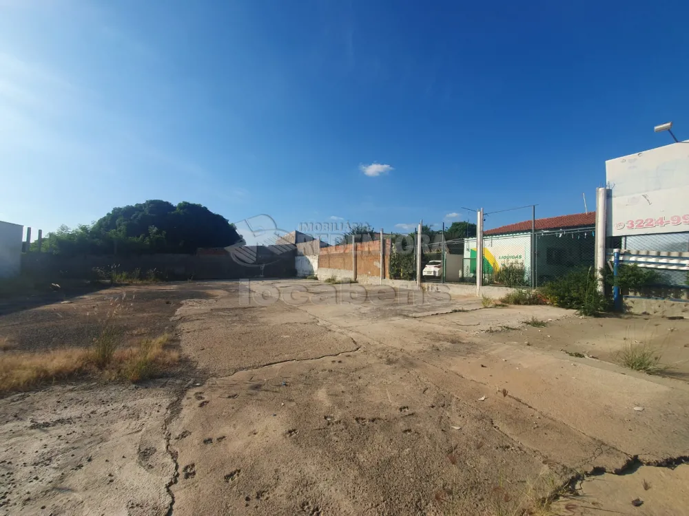 Alugar Terreno / Padrão em São José do Rio Preto R$ 3.500,00 - Foto 3