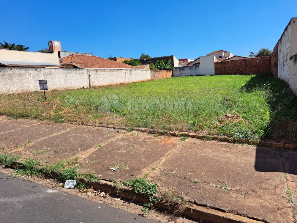 Comprar Terreno / Área em São José do Rio Preto R$ 550.000,00 - Foto 4