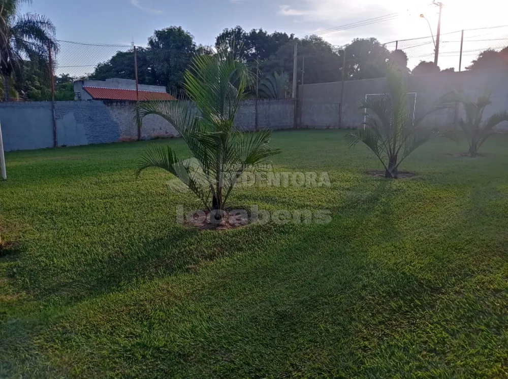 Comprar Rural / Chácara em Bady Bassitt R$ 900.000,00 - Foto 15