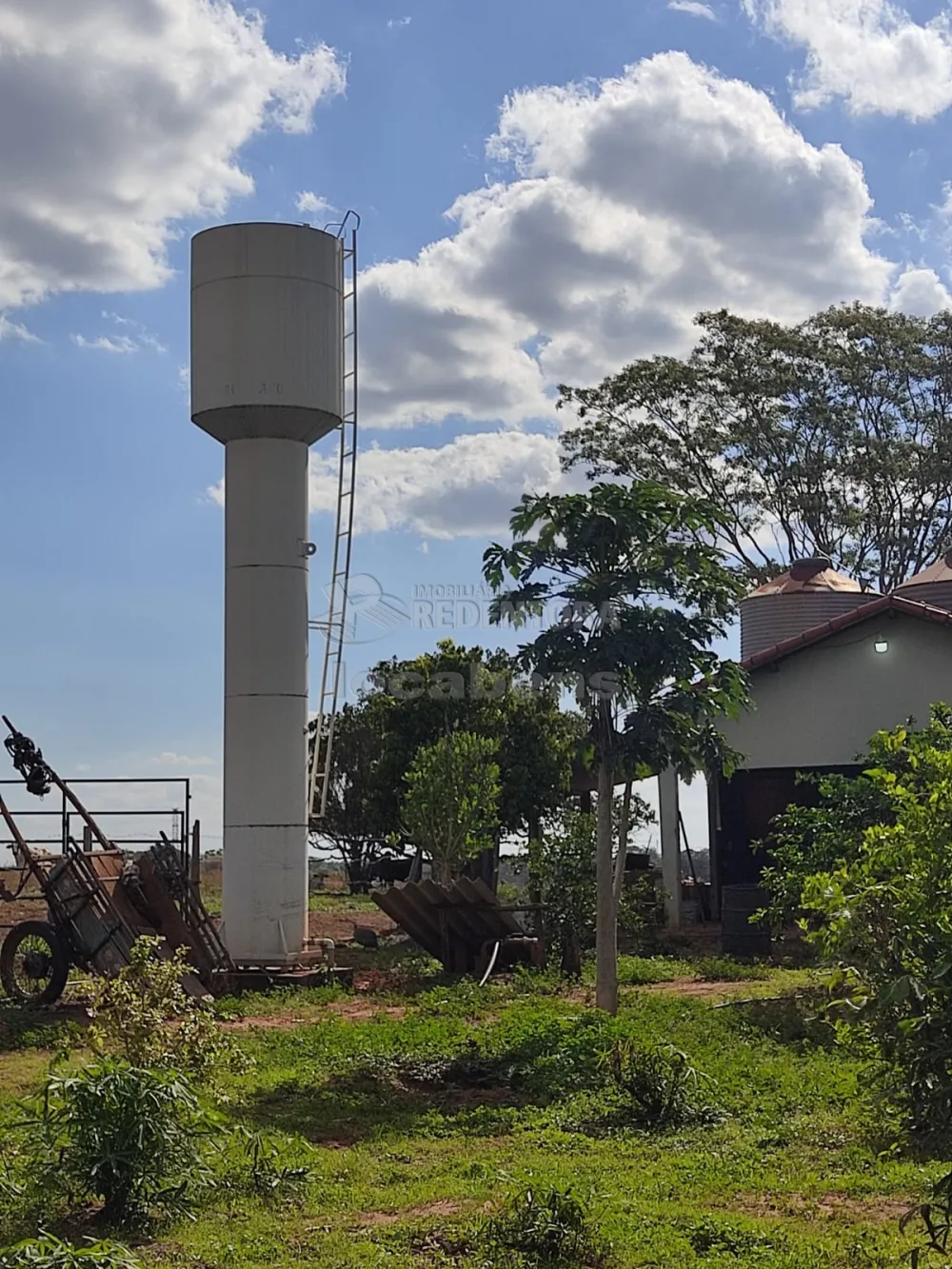 Comprar Rural / Sítio em Tanabi R$ 950.000,00 - Foto 6