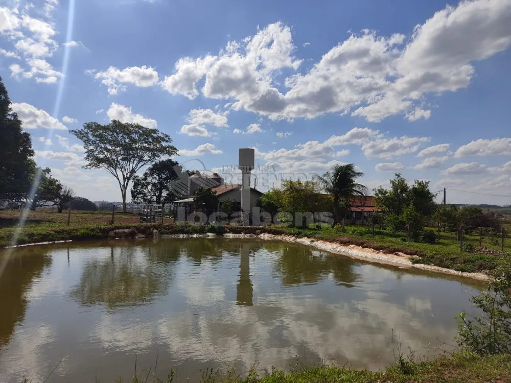 Comprar Rural / Sítio em Tanabi R$ 950.000,00 - Foto 7