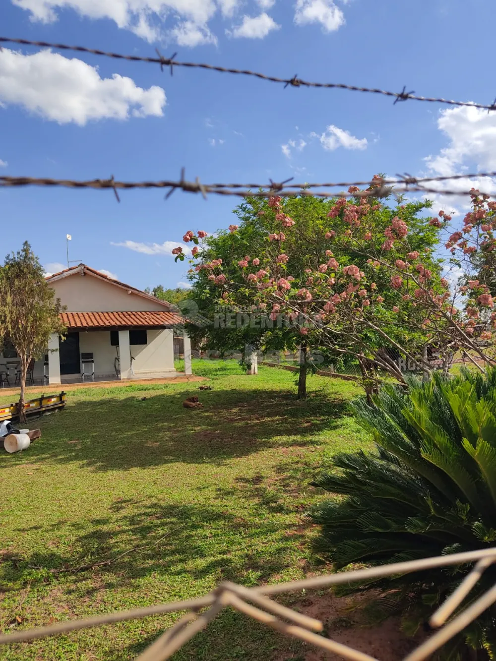 Comprar Rural / Sítio em Tanabi R$ 950.000,00 - Foto 9