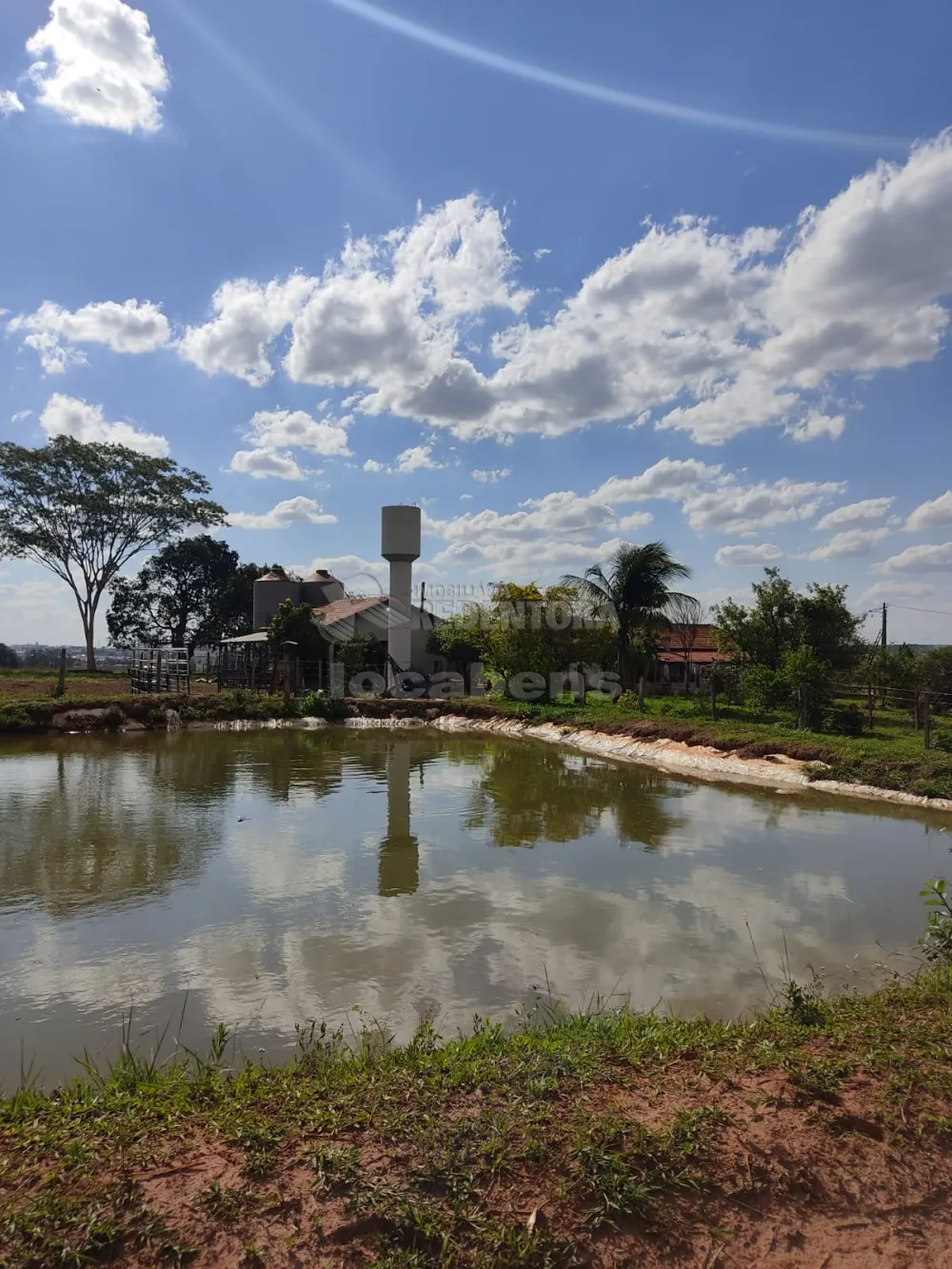 Comprar Rural / Sítio em Tanabi R$ 950.000,00 - Foto 10