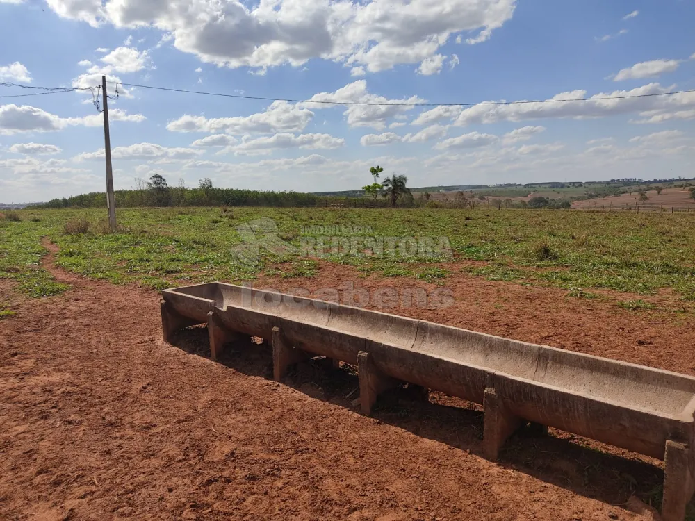 Comprar Rural / Sítio em Tanabi R$ 950.000,00 - Foto 11