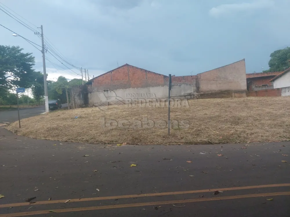 Comprar Terreno / Padrão em Cedral R$ 120.000,00 - Foto 1