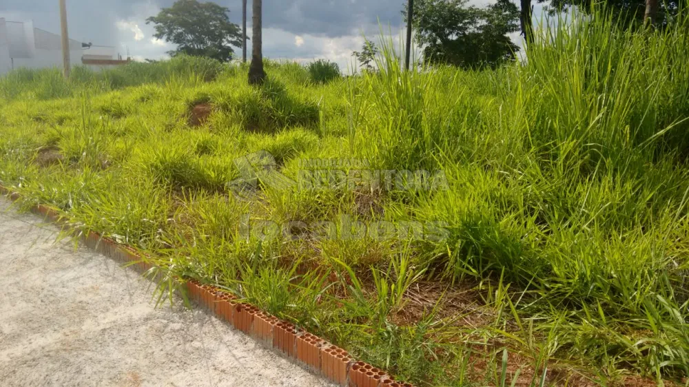 Comprar Terreno / Padrão em São José do Rio Preto apenas R$ 90.000,00 - Foto 6