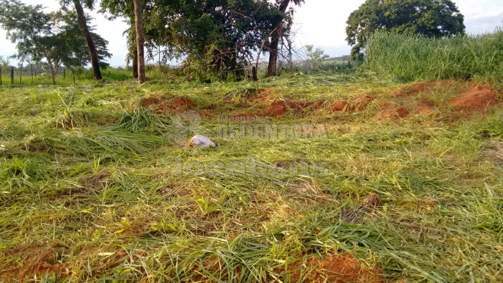 Comprar Terreno / Padrão em São José do Rio Preto apenas R$ 90.000,00 - Foto 7