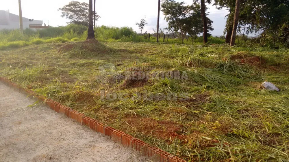 Comprar Terreno / Padrão em São José do Rio Preto R$ 90.000,00 - Foto 5