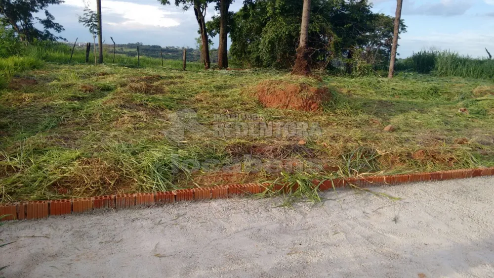 Comprar Terreno / Padrão em São José do Rio Preto R$ 90.000,00 - Foto 3