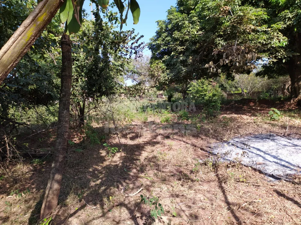 Comprar Rural / Chácara em São José do Rio Preto R$ 500.000,00 - Foto 5