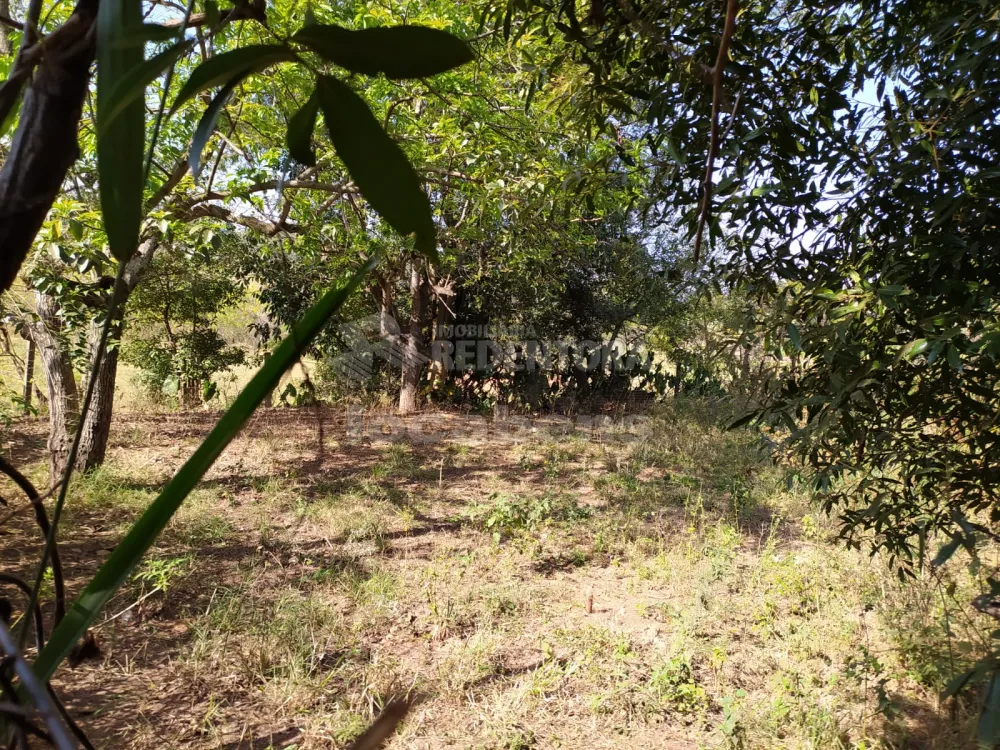 Comprar Rural / Chácara em São José do Rio Preto R$ 420.000,00 - Foto 6