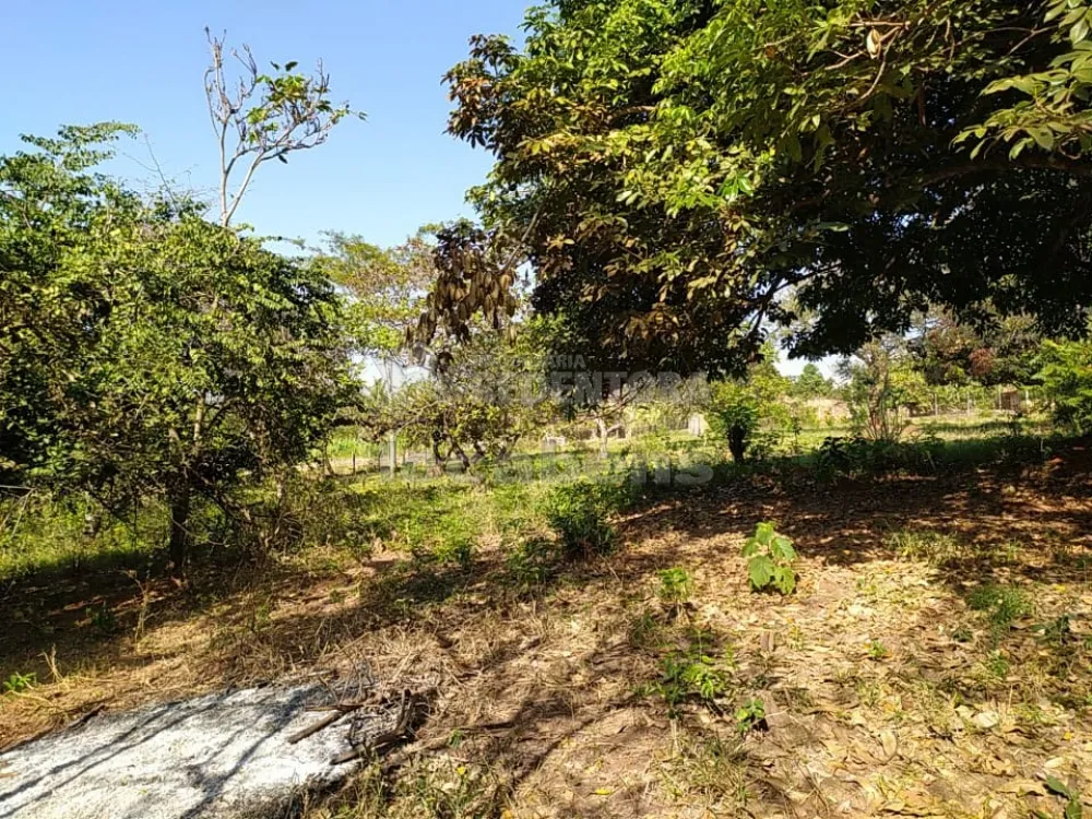 Comprar Rural / Chácara em São José do Rio Preto R$ 500.000,00 - Foto 9