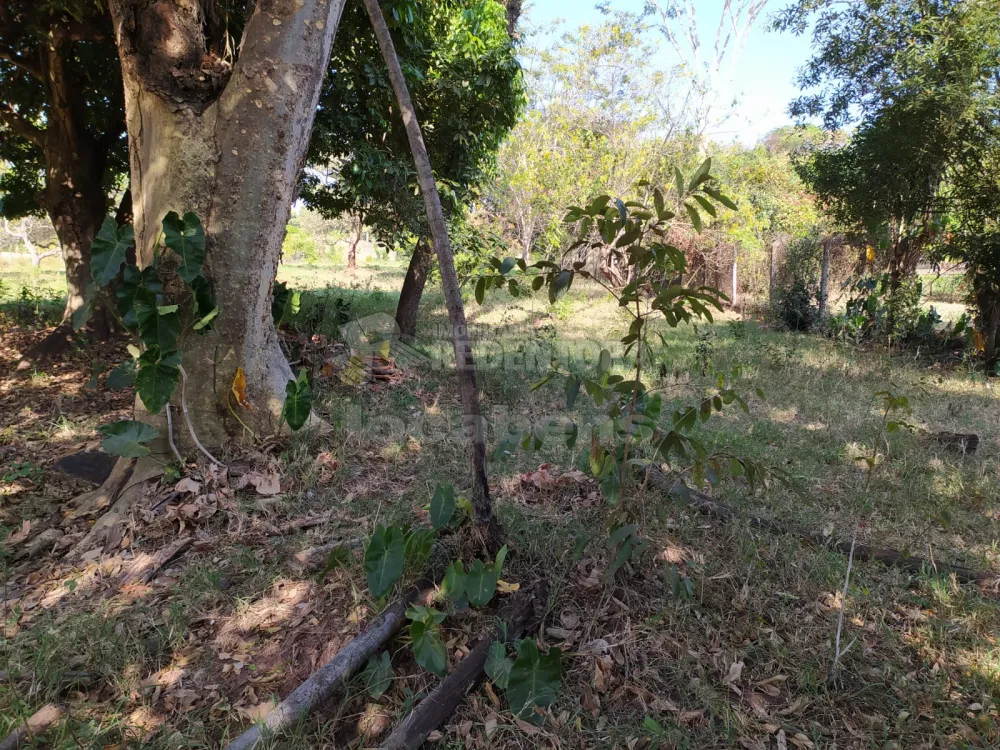 Comprar Rural / Chácara em São José do Rio Preto R$ 500.000,00 - Foto 11