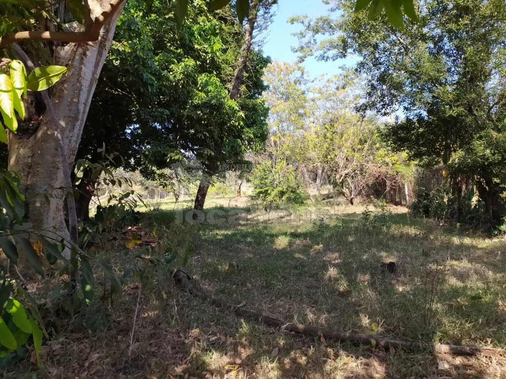 Comprar Rural / Chácara em São José do Rio Preto R$ 500.000,00 - Foto 13