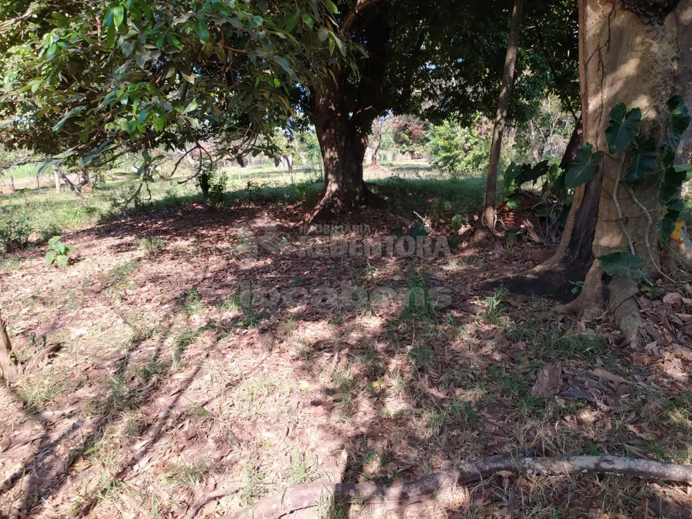 Comprar Rural / Chácara em São José do Rio Preto R$ 420.000,00 - Foto 14