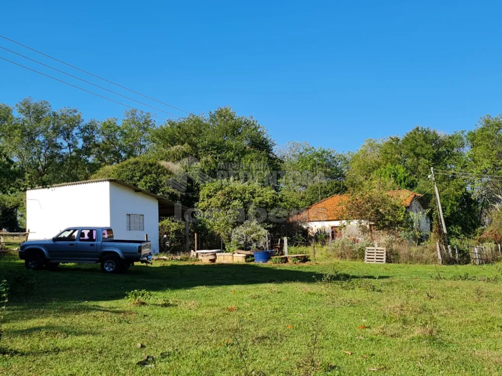 Comprar Rural / Sítio em Cedral R$ 2.520.000,00 - Foto 1