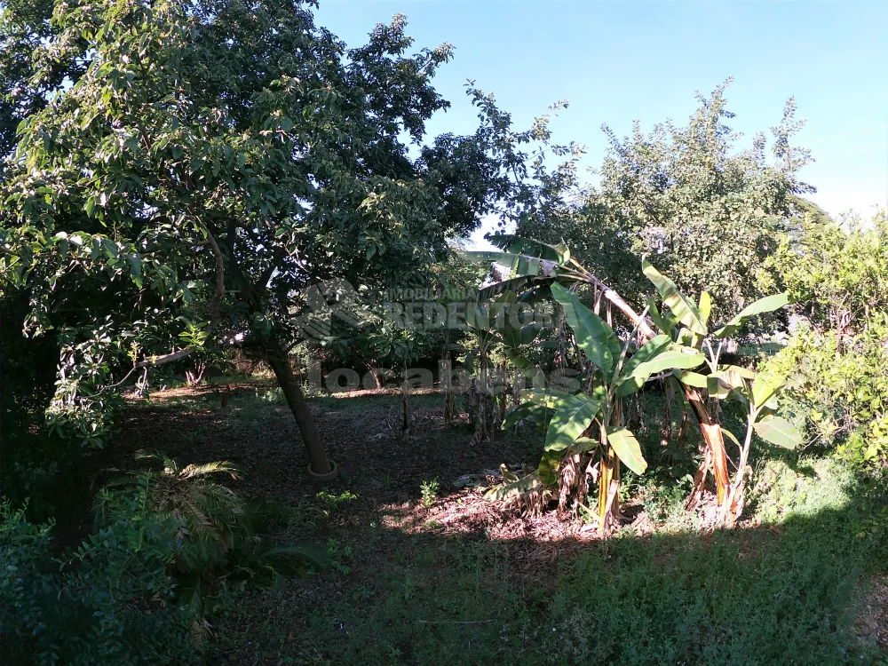 Alugar Comercial / Casa Comercial em São José do Rio Preto R$ 4.800,00 - Foto 37