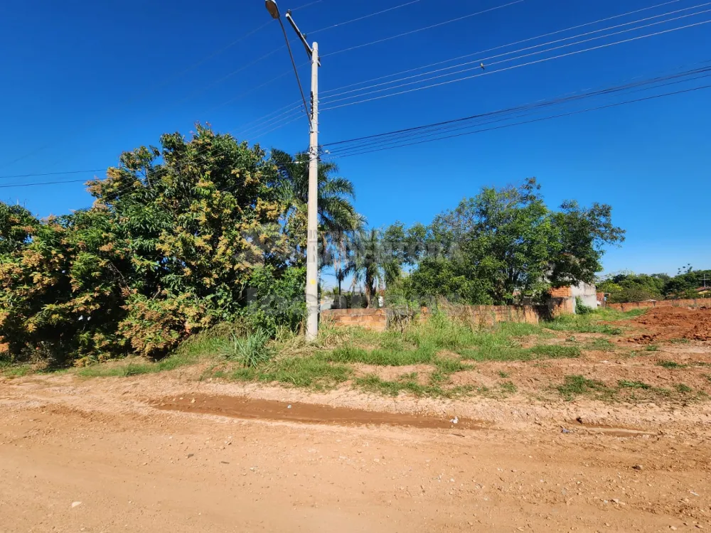 Comprar Rural / Chácara em Cedral R$ 750.000,00 - Foto 13