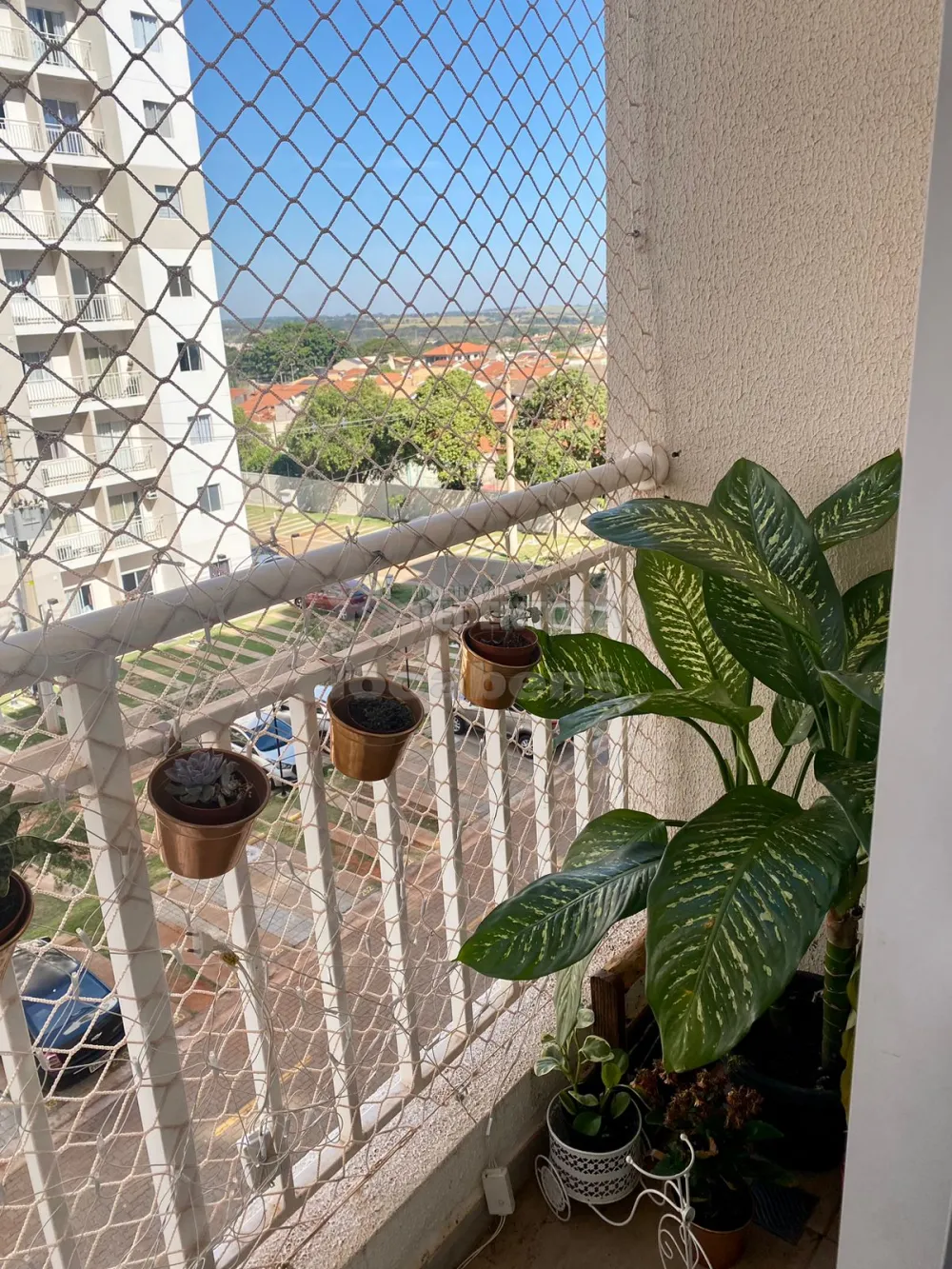 Comprar Apartamento / Padrão em São José do Rio Preto R$ 320.000,00 - Foto 11