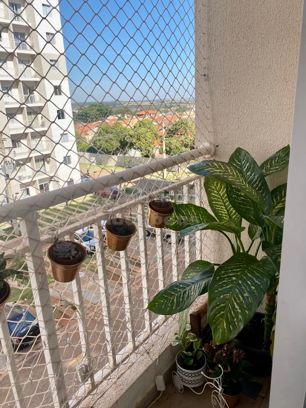 Comprar Apartamento / Padrão em São José do Rio Preto apenas R$ 320.000,00 - Foto 11