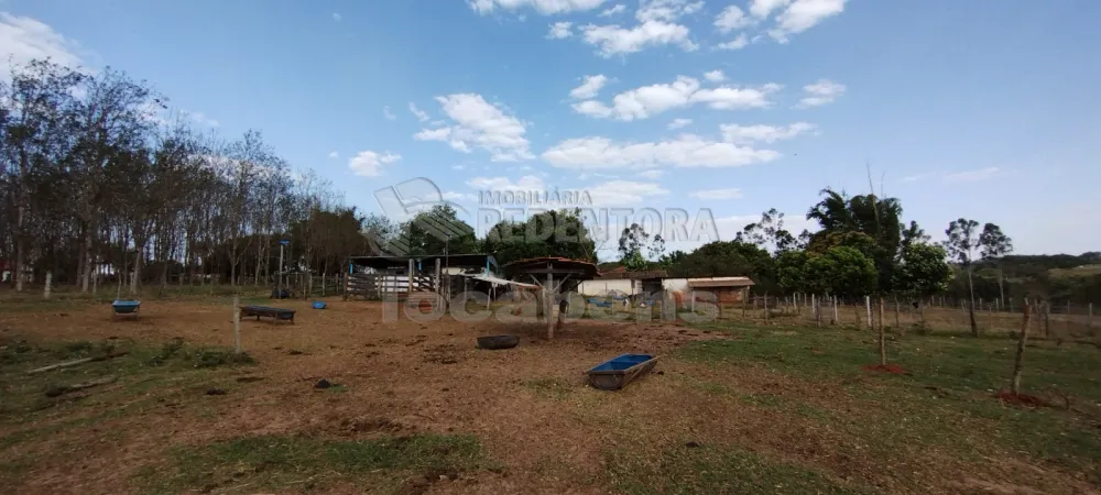 Comprar Rural / Sítio em Bady Bassitt R$ 1.650.000,00 - Foto 33
