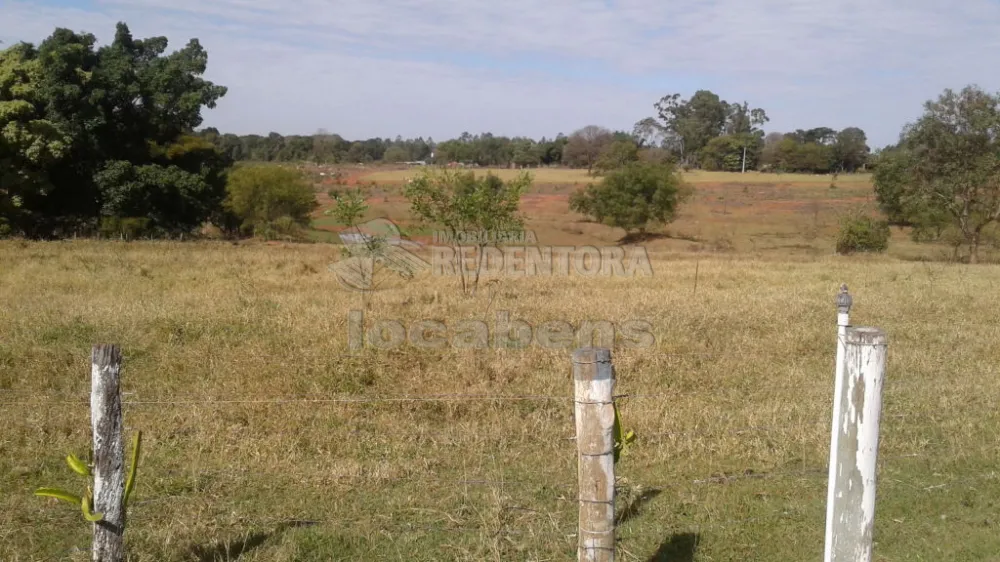 Comprar Rural / Sítio em São José do Rio Preto R$ 19.200.000,00 - Foto 1