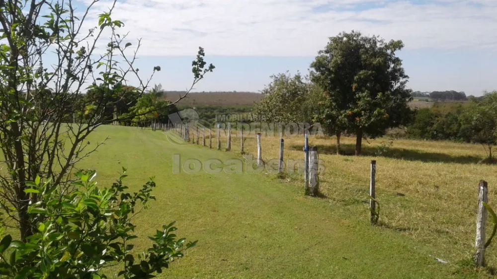 Comprar Rural / Sítio em São José do Rio Preto R$ 19.200.000,00 - Foto 3