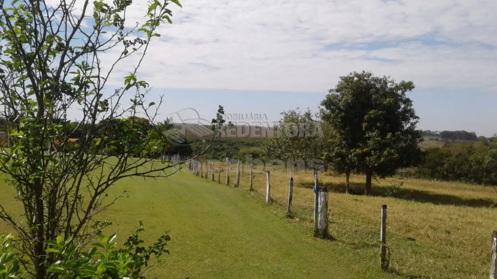 Comprar Rural / Sítio em São José do Rio Preto R$ 19.200.000,00 - Foto 4