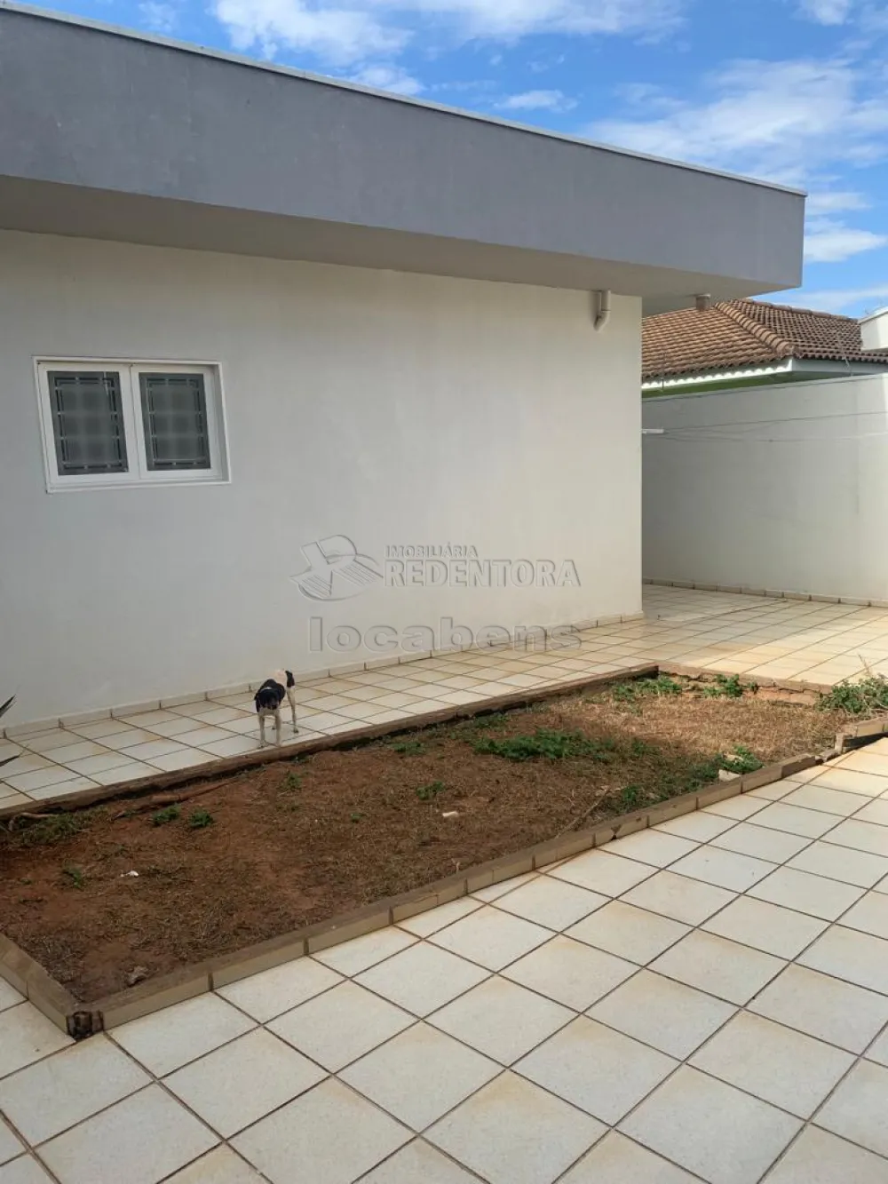 Alugar Casa / Padrão em São José do Rio Preto R$ 19.000,00 - Foto 64