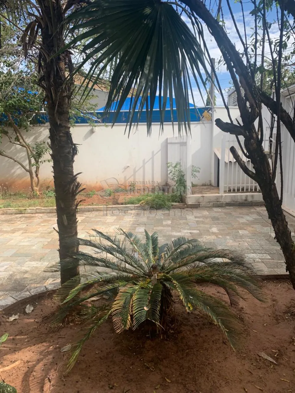 Alugar Casa / Padrão em São José do Rio Preto R$ 15.000,00 - Foto 65