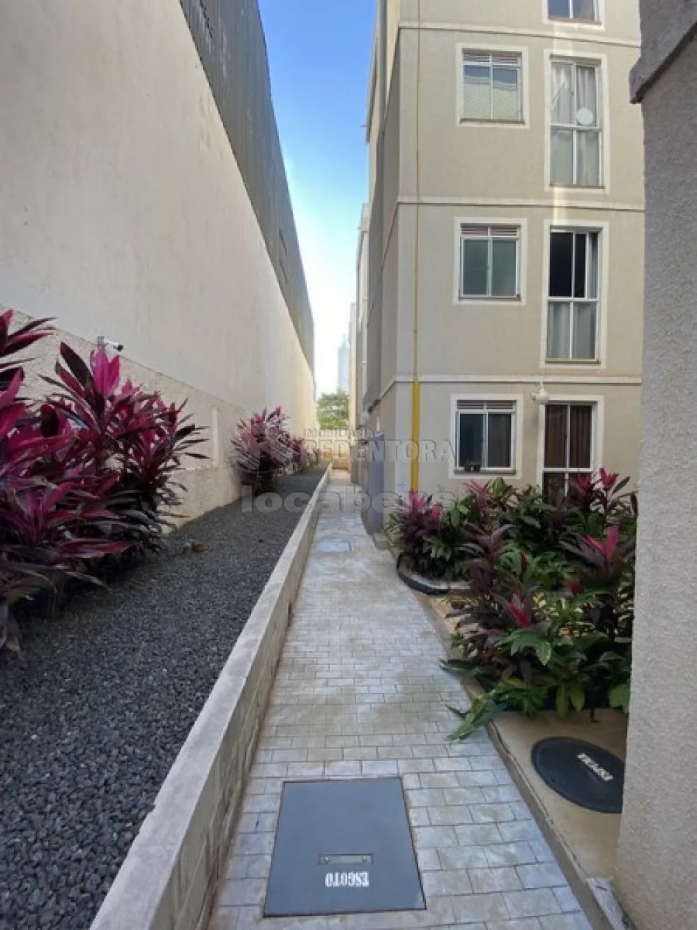 Alugar Apartamento / Padrão em São José do Rio Preto R$ 700,00 - Foto 20