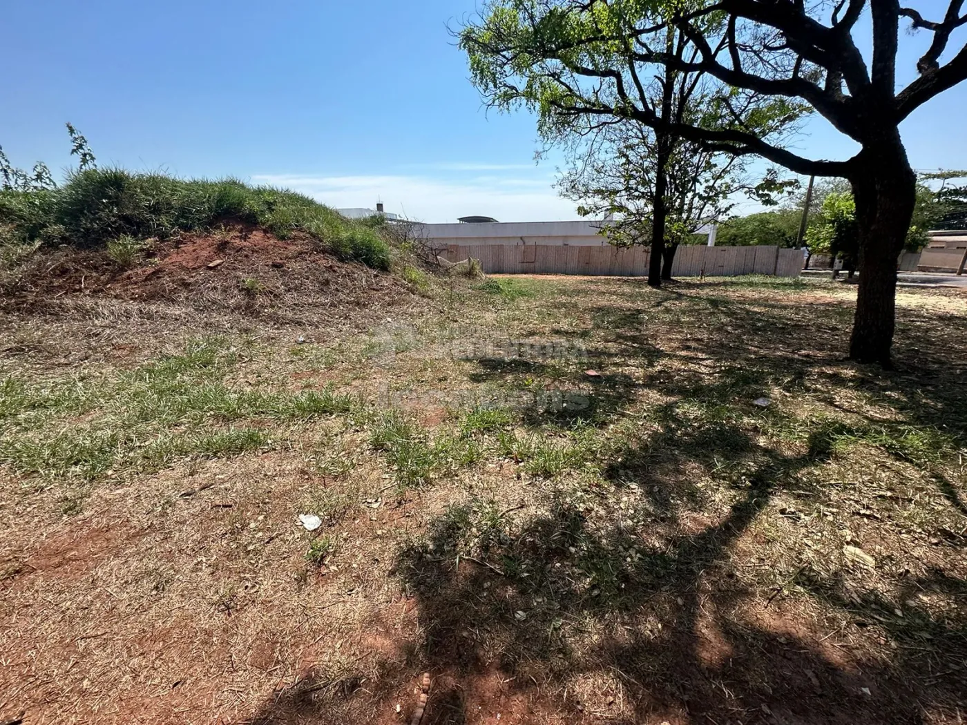 Comprar Terreno / Área em São José do Rio Preto R$ 2.650.000,00 - Foto 8