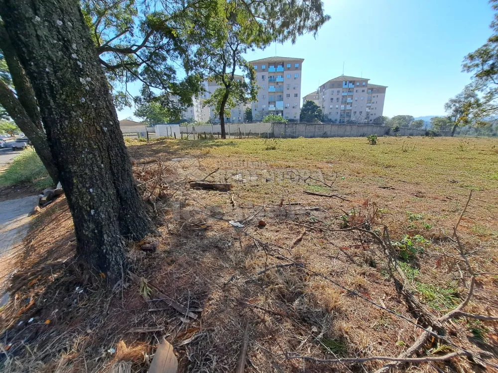 Comprar Terreno / Área em São José do Rio Preto R$ 6.000.000,00 - Foto 3