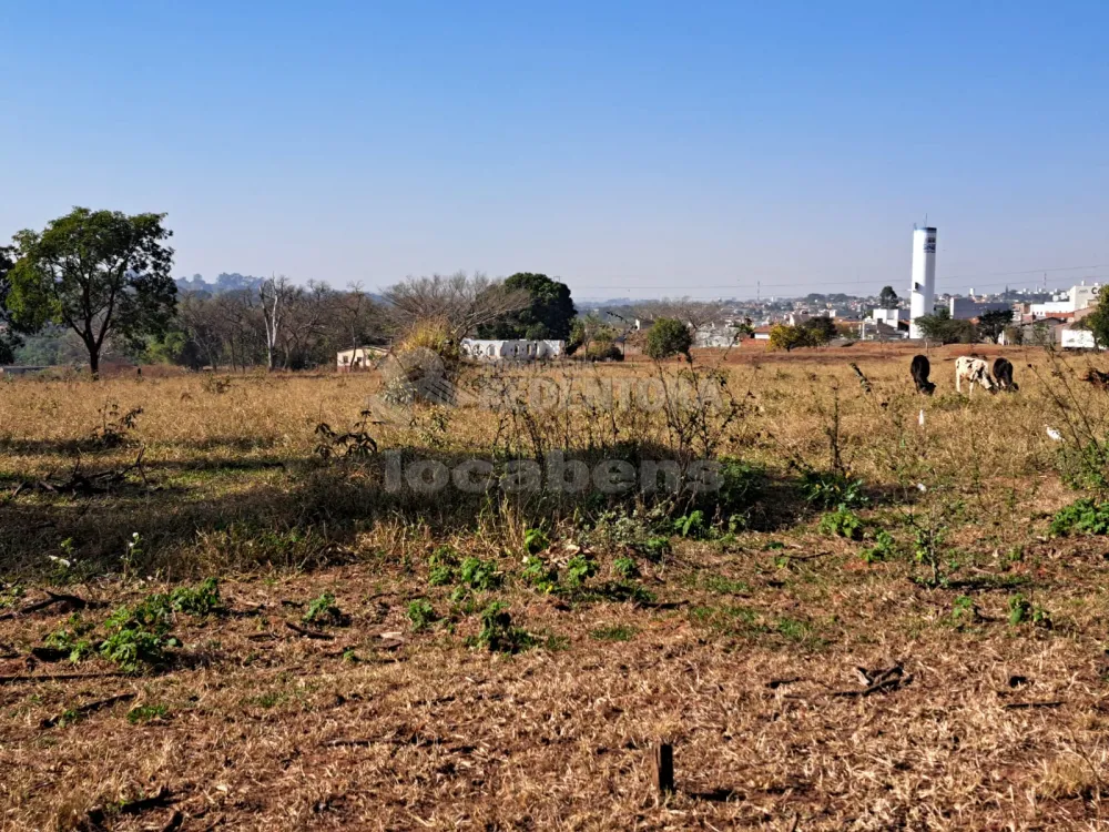 Comprar Terreno / Área em São José do Rio Preto R$ 6.000.000,00 - Foto 7