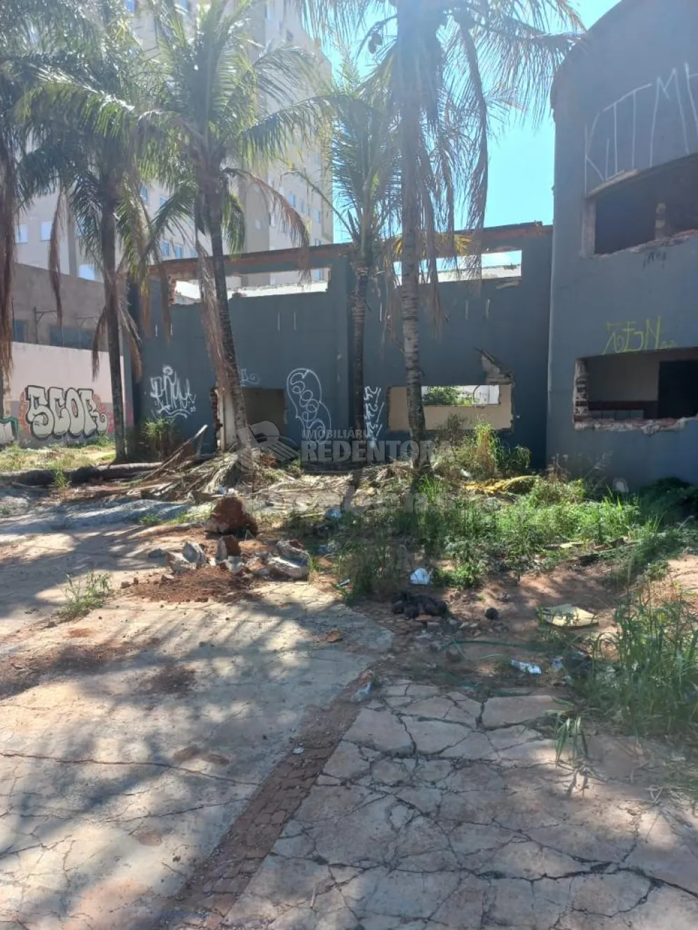 Comprar Terreno / Área em São José do Rio Preto apenas R$ 1.650.000,00 - Foto 3