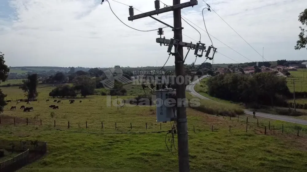 Comprar Rural / Sítio em Mirassol R$ 1.200.000,00 - Foto 4