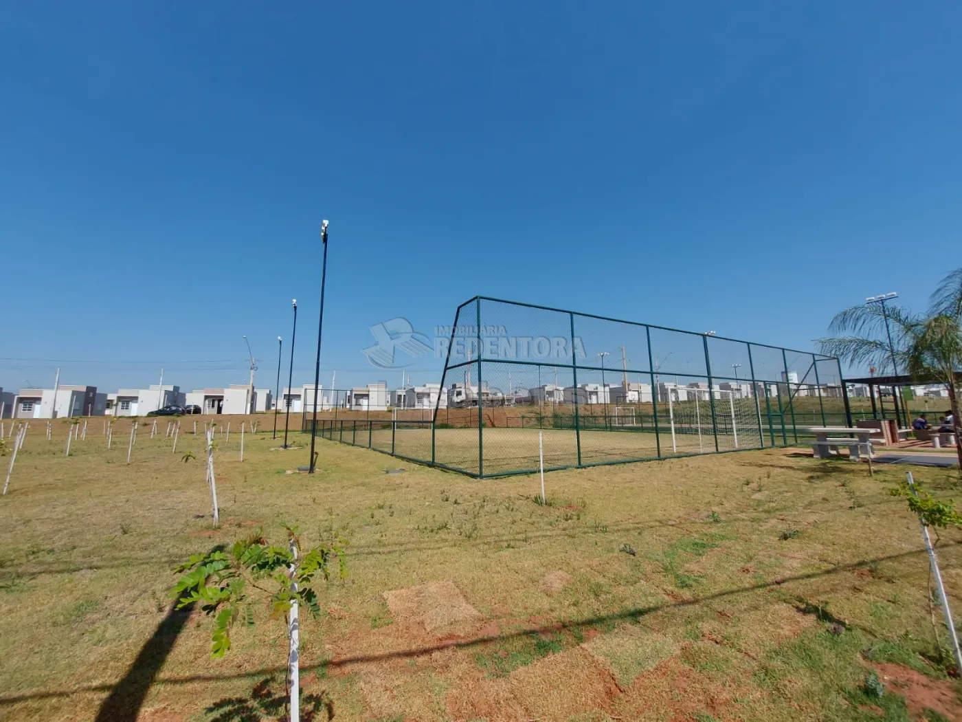 Alugar Casa / Condomínio em São José do Rio Preto R$ 800,00 - Foto 11