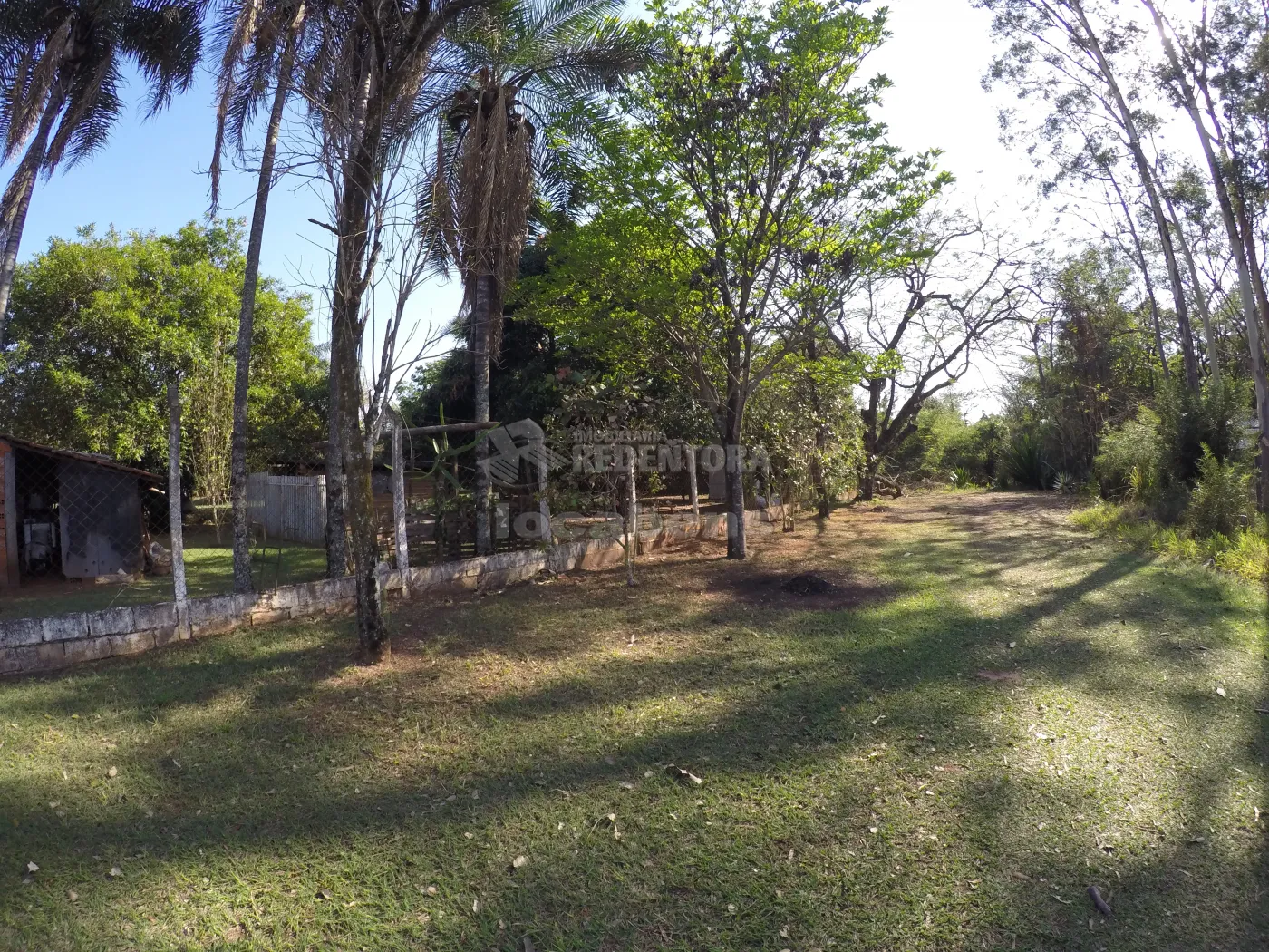 Comprar Rural / Chácara em São José do Rio Preto R$ 1.300.000,00 - Foto 5