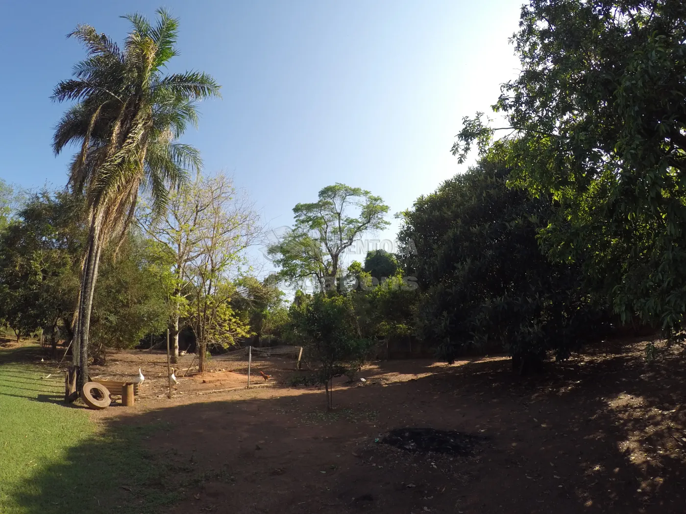 Comprar Rural / Chácara em São José do Rio Preto R$ 1.100.000,00 - Foto 8