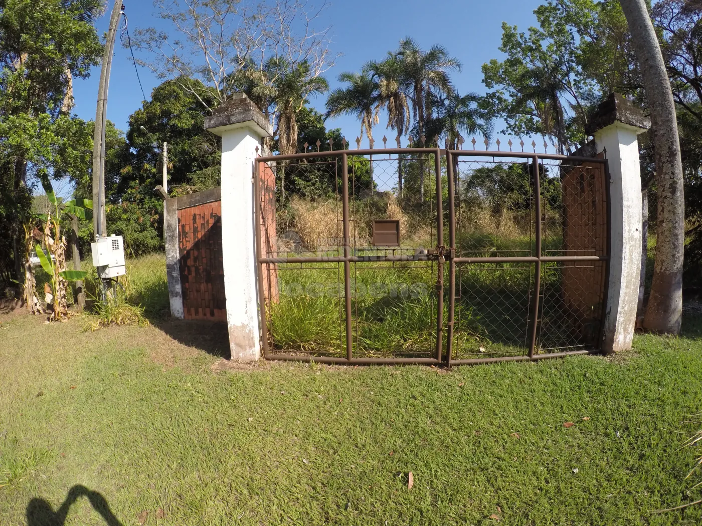 Comprar Rural / Chácara em São José do Rio Preto R$ 1.100.000,00 - Foto 11